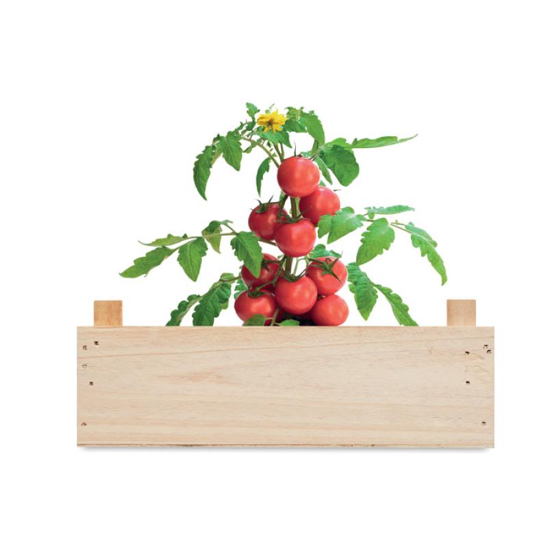 Mini-huerto tomates en caja