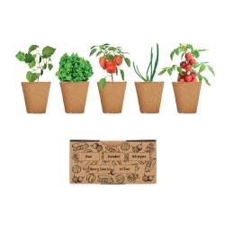 Kit de cultivo de verduras