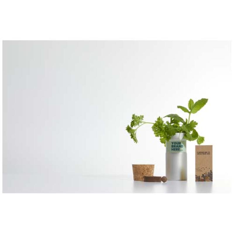 Mezcla de hierbas para jardín de sobremesa "Hey Pots"