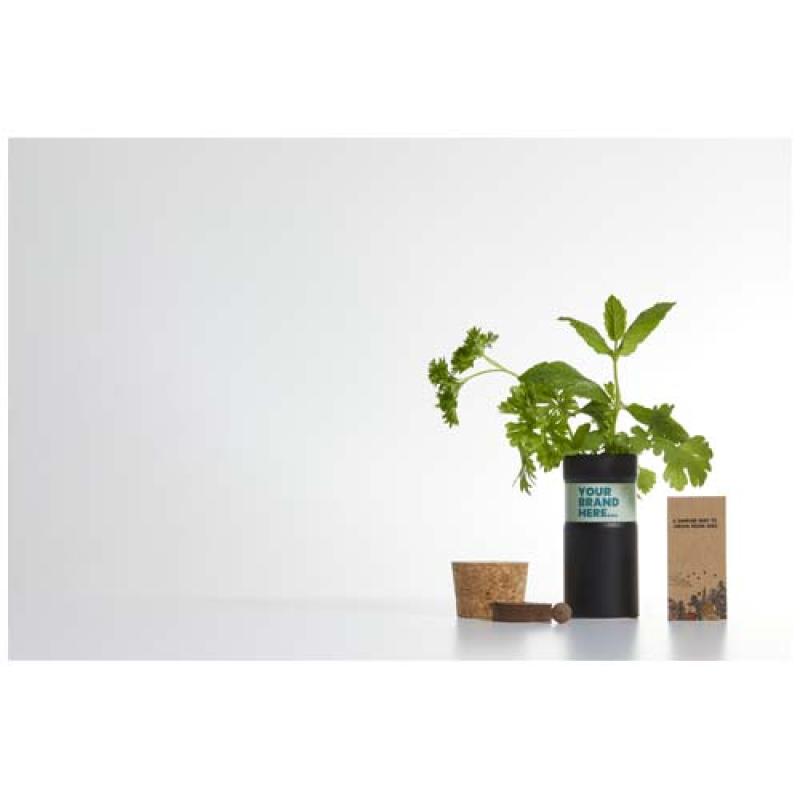 Mezcla de flores para jardín de sobremesa "Hey Pots"