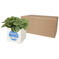 Maceta de aluminio con planta, suculenta, "Hey Pots"