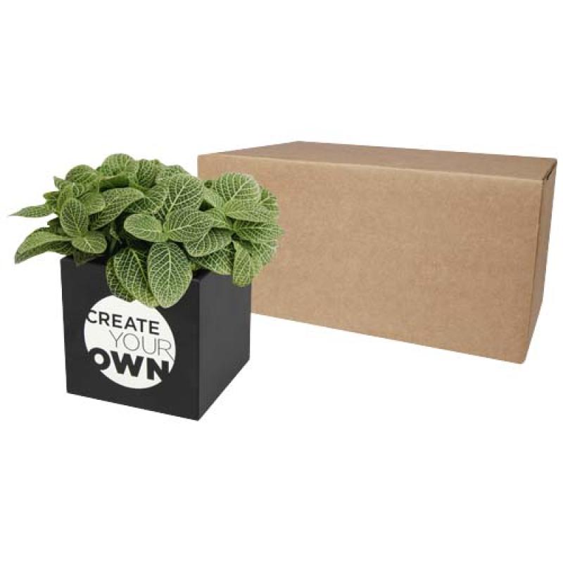 Maceta de aluminio con planta, suculenta, "Hey Pots"