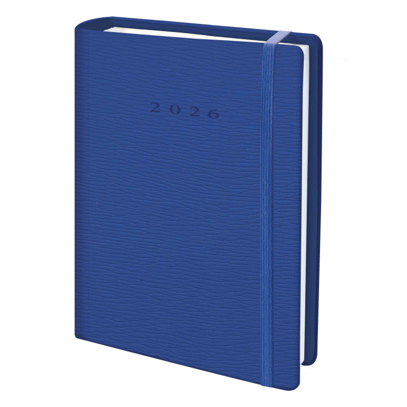 D33-Agenda Dia Wire'o - C6-Rivoli - B10-Azul