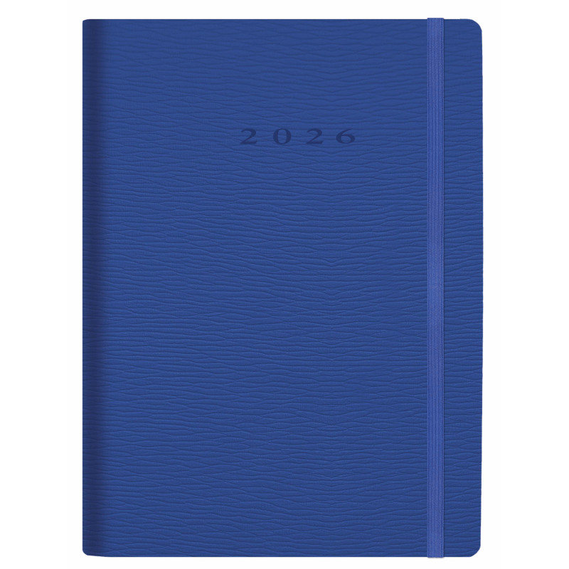 D33-Agenda Dia Wire'o - C6-Rivoli - B10-Azul