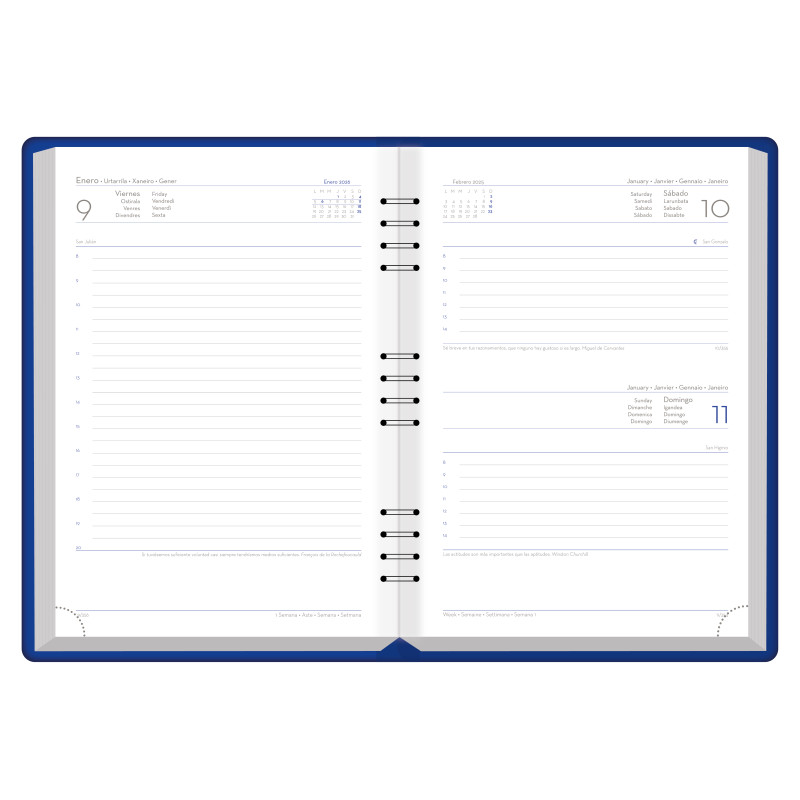 D33-Agenda Dia Wire'o - 6Y-Vivione - 376-Azul