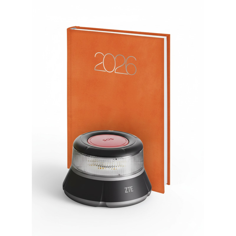 Pack Baliza + Organaized