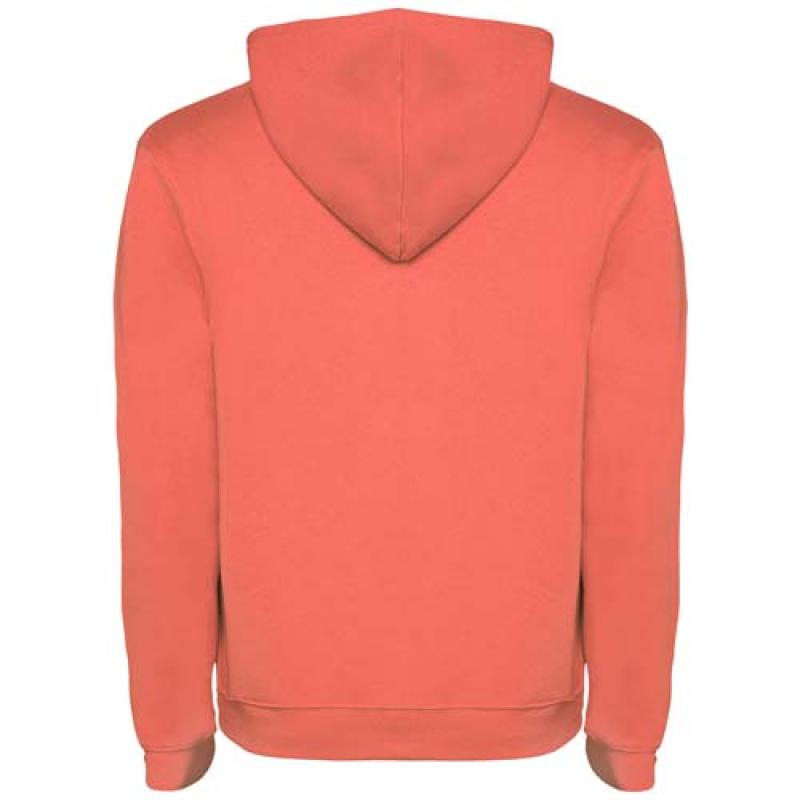 Sudadera con capucha para hombre de 280 g/m² Urban