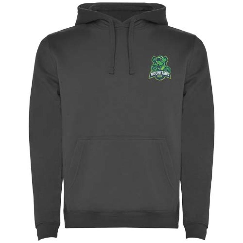 Sudadera con capucha para hombre de 280 g/m² Urban