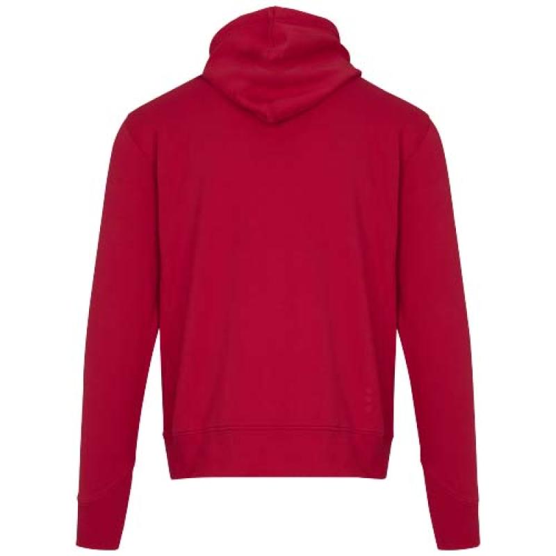 Sudadera con capucha unisex de 300 g/m² Arora
