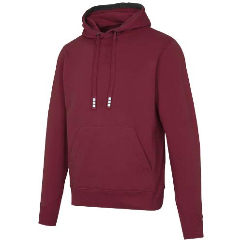 Sudadera con capucha unisex de 300 g/m² Arora