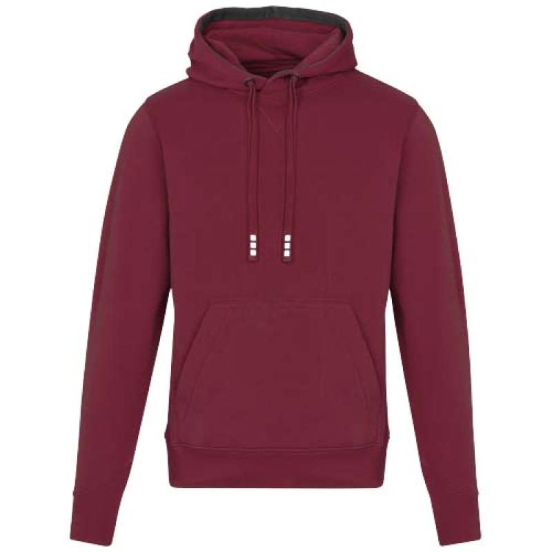 Sudadera con capucha unisex de 300 g/m² Arora