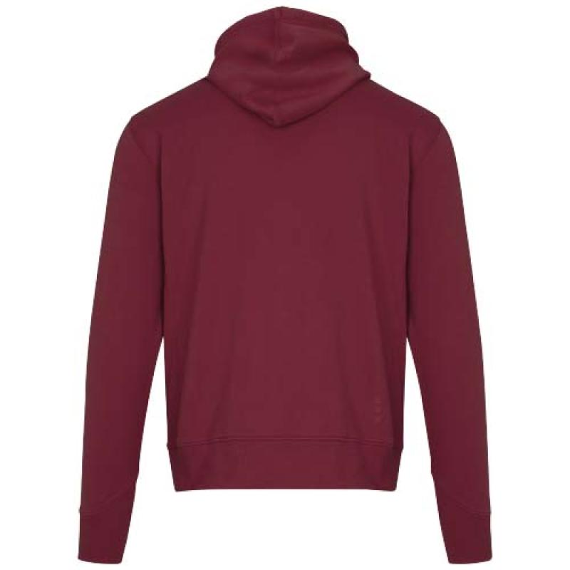 Sudadera con capucha unisex de 300 g/m² Arora