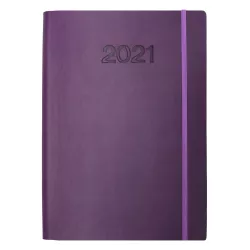 E11-Agenda Dia / 6I-Tucson...